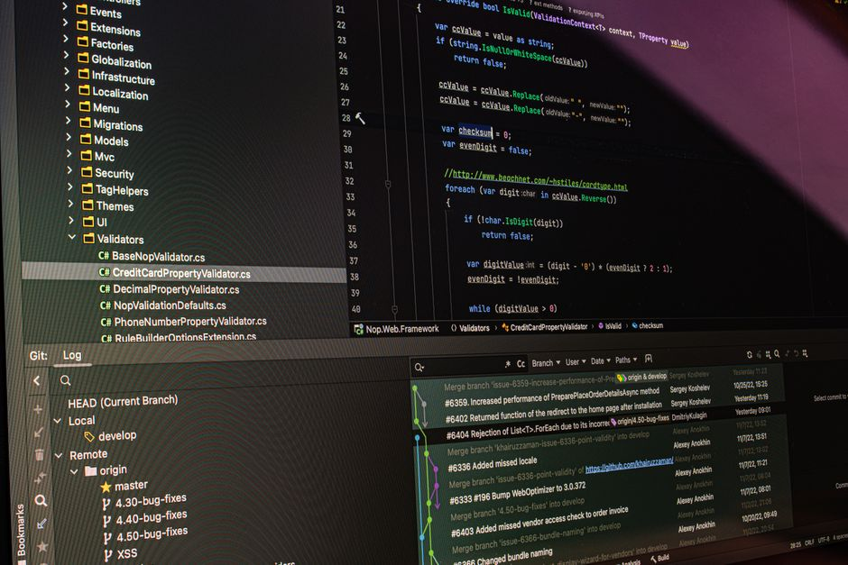 Addressing the Open-Source Security Imperative: Industry Alliances and Repository Risks