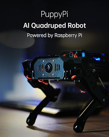 AI Raspberry Pi Robot